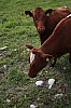 IMG_9080.jpg