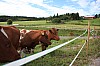 IMG_9091.jpg