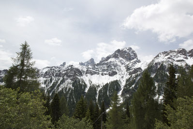 Premi per vedere l'immagine alla massima grandezza