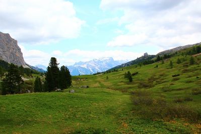 Premi per vedere l'immagine alla massima grandezza