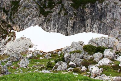 Premi per vedere l'immagine alla massima grandezza