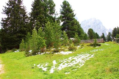 Premi per vedere l'immagine alla massima grandezza