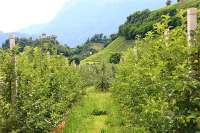 Premi per vedere l'immagine alla massima grandezza