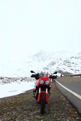 Premi per vedere l'immagine alla massima grandezza