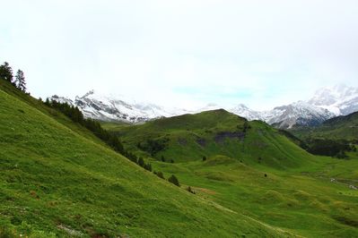 Premi per vedere l'immagine alla massima grandezza