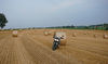 roto_balle_carmagnola.jpg