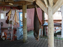 2013-08-11 13.57.12.jpg