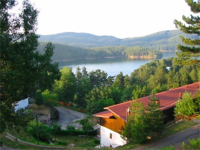 Scaled Image 5.jpg