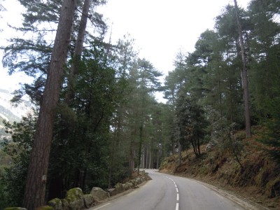 DSCN4753.JPG