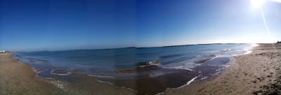 IMG_20141102_095134.jpg
