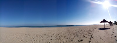 IMG_20141102_094827.jpg