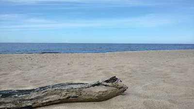 20150527_114206_Richtone(HDR).jpg