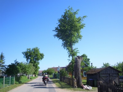 DSCN5646.JPG