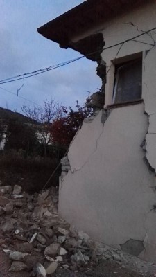 image.jpeg