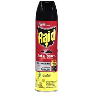 raid.jpg