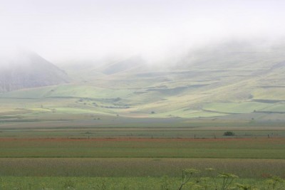 IMG_0003.JPG