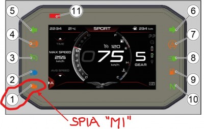 Spia_MI.jpg