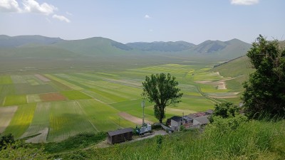 IMG-20250607-WA0022.jpeg