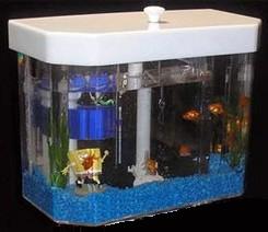 Acquario.jpg