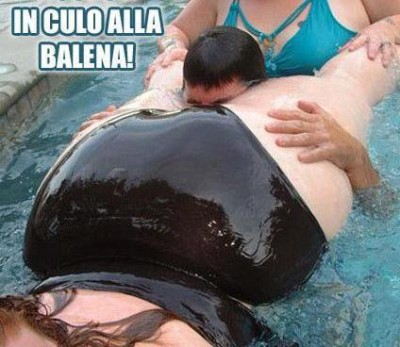 in culo alla balena.jpg