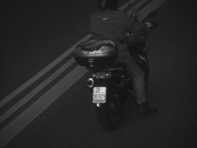 66360039F79565ACCF9D19C19ABBF97A.tomcat1_37541054.jpg