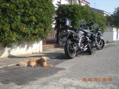DSCN3775.JPG