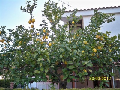 Immagine 125.jpg