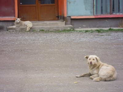 DSCN3684.JPG