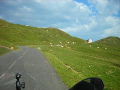 Pirenei  (52).jpg