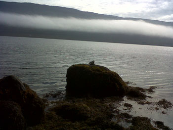 IMG00217-20120815-1159.jpg