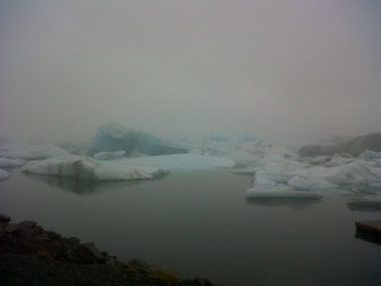 mIMG00253-20120821-1334.jpg