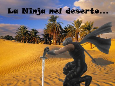 ninja.jpg