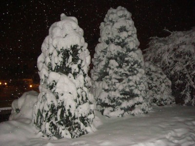 n11.jpg