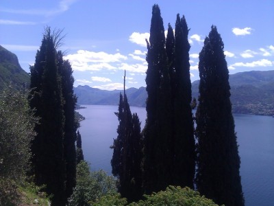WP_000500.jpg